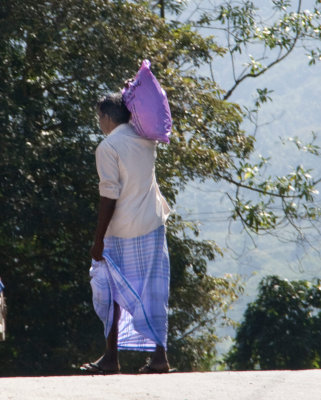 _MG_9259-Kandy-to-Nuwara-Eliya.jpg