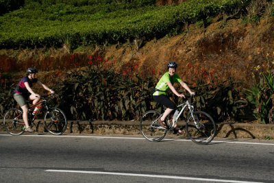 _MG_9506-Kandy-to-Nuwara-Eliya.jpg