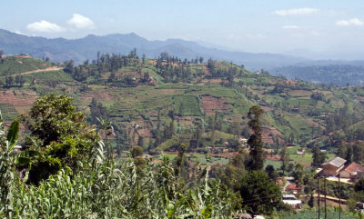 _MG_9594-Nuwara-Eliya-to-Ella.jpg