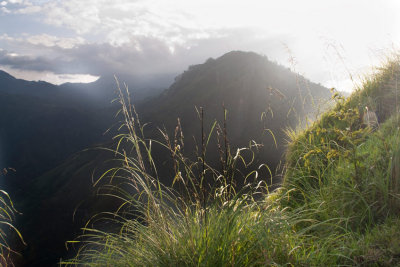 _MG_9631-Little-Adams-Peak-Ella.jpg