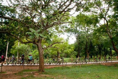 _MG_9846-Ride-to-Kataragama-Temple.jpg