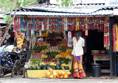 _MG_9855-Ride-to-Kataragama-Temple.jpg