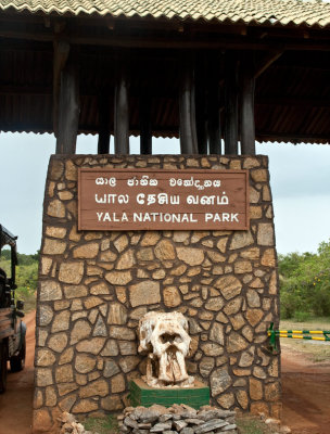 _MG_9887Yala-NP.jpg
