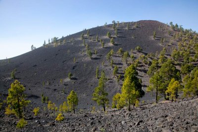 IMG_5015-Ruta-de-los-Volcanos-.jpg