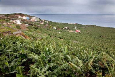 IMG_5053-La-Cuesta.jpg