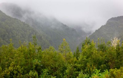 IMG_5344Cubo-de-Galga.jpg