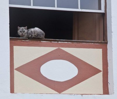 IMG_5369-Cubo-de-Galga.jpg