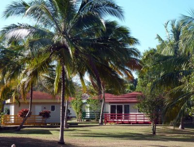 P1050545--Finca-Ma.-Dolores-Trinidad.jpg