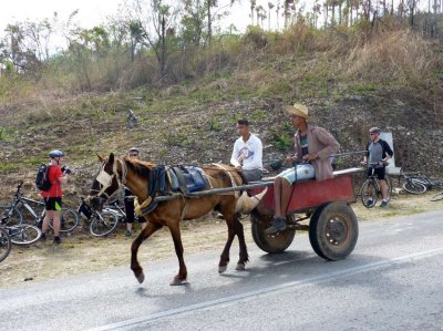 P1050557-Valle-de-Los-Ingenios.jpg