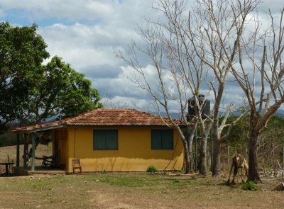 P1050578-Manaca-Iznaga.jpg