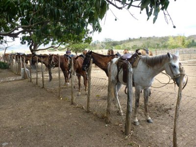 P1050579-Manaca-Iznaga.jpg