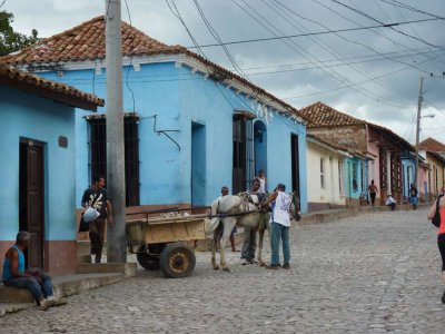 P1050596-Tinidad.jpg