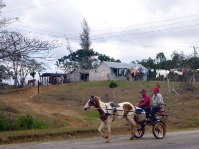 P1050830.jpg