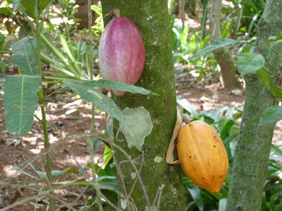 P1050842-Vinales.jpg