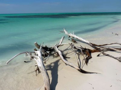 P1050951-Cayo-Levisa.jpg
