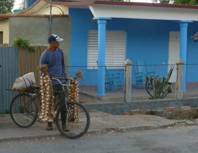 P1050963-Vinales.jpg