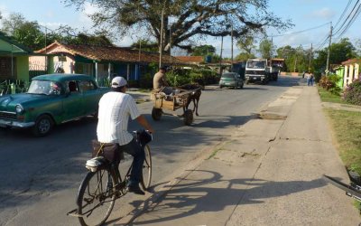 P1050966-Vinales.jpg