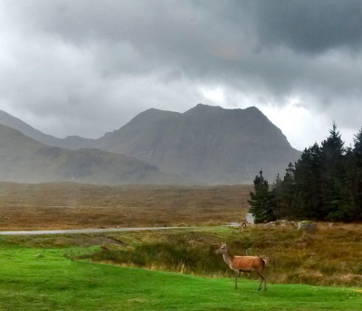 Walking The West Highland Way
