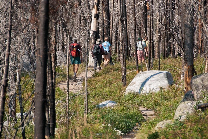 Bunch Hiking 