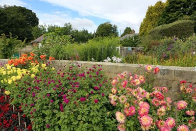 Cragside - 11