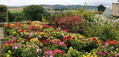 Cragside - 13
