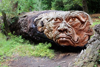Cragside - 20