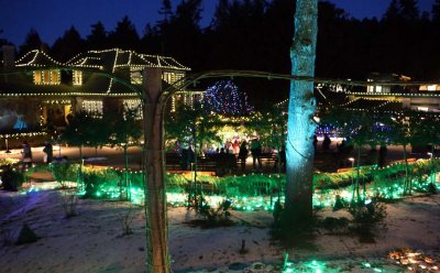 Holiday Lights at Butchart Gardens