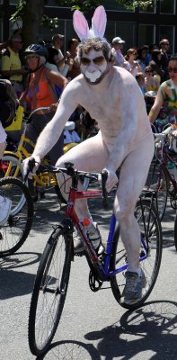 Painted Riders - 203