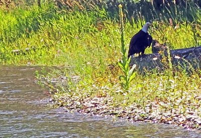 Yakima River Fishing Trip