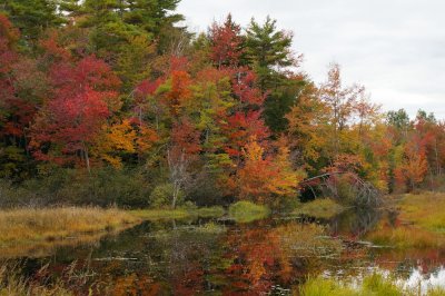 Fall