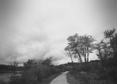 The road