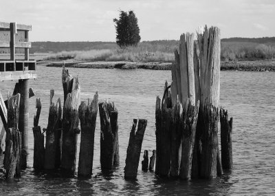 Pier