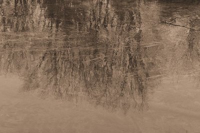 refelctions