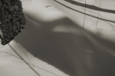 Shadows in the snow V