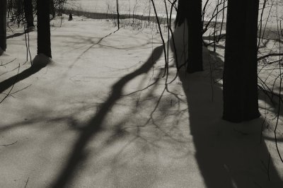 Shadows in the snow VI
