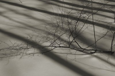 Shadows in the snow VIII