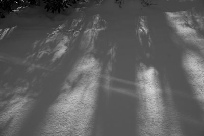 Shadows in the snow