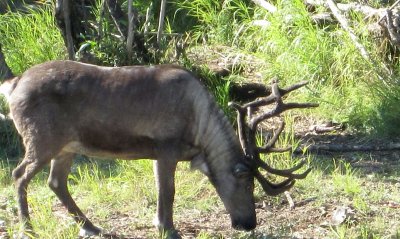 IMG_0586 tw ss.jpg