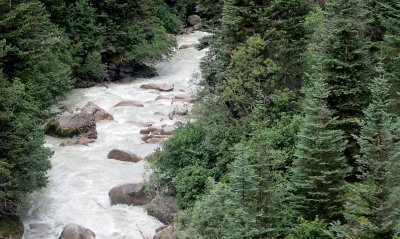 IMG_0787 tw ss.jpg