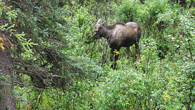 AK 2013 pw 59.jpg