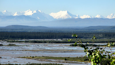 AK 2013 pw15.jpg