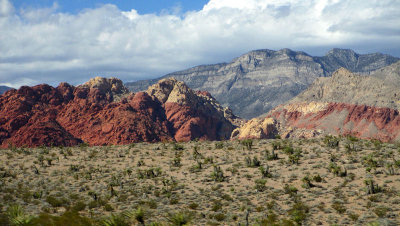 Red Cyn Las Vegas, NV pw.jpg