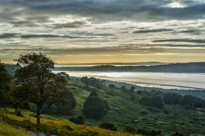 Kent Estuary from Arnside Knott