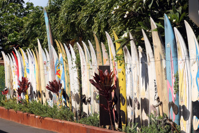 Surf board fence