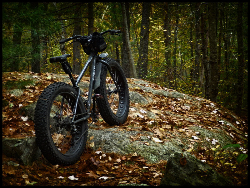 Yet Another Fat Bike Shot
