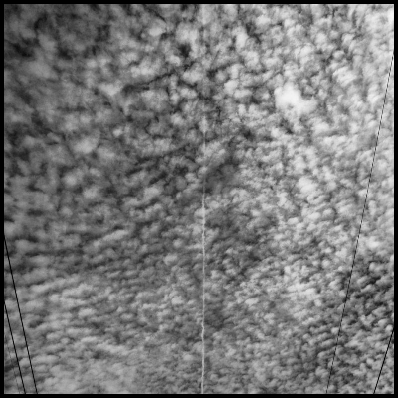 LLForest contrail clouds n wires