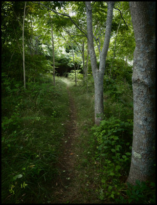 Western Greenway