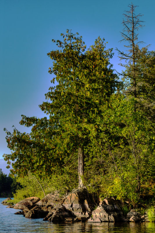 Fall Lake