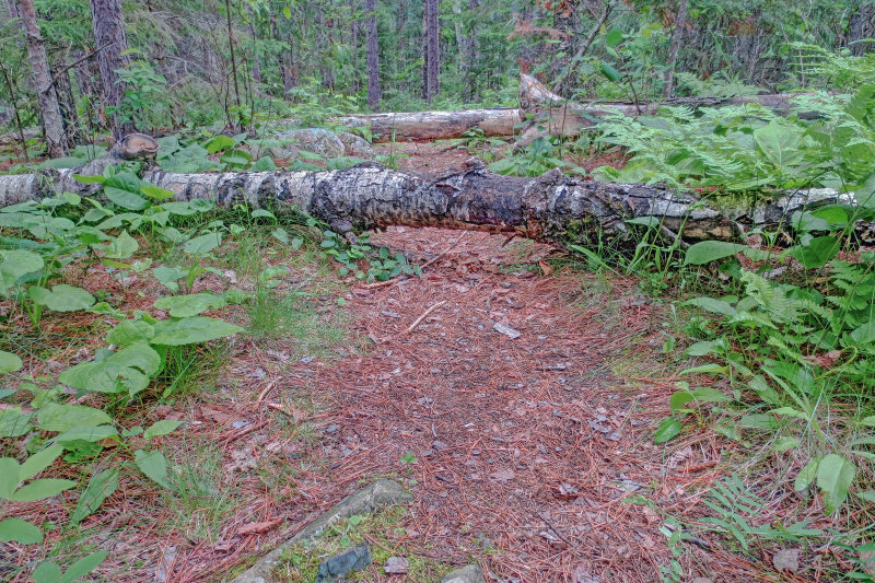 Fall Lake Woods