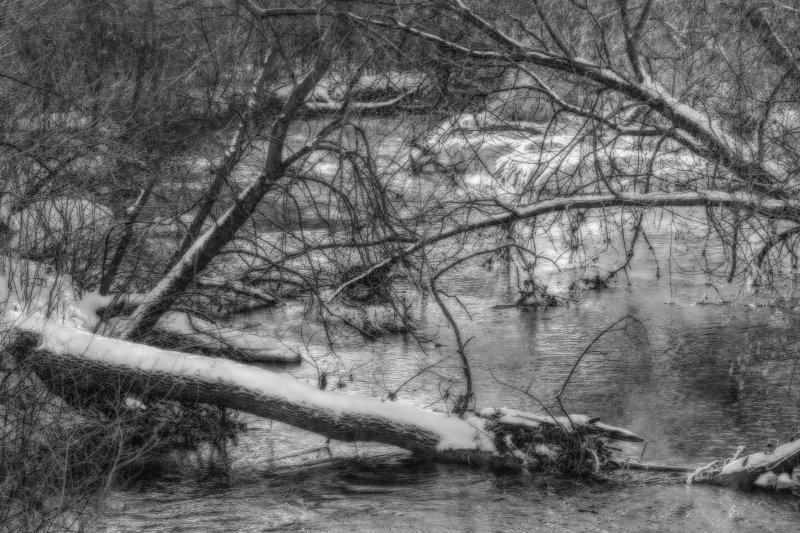 Vermillion River Trout Stream